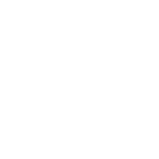 CNV 3010, RS232/RS485